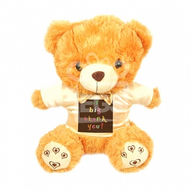 A Big Thank You - Personalised Bear