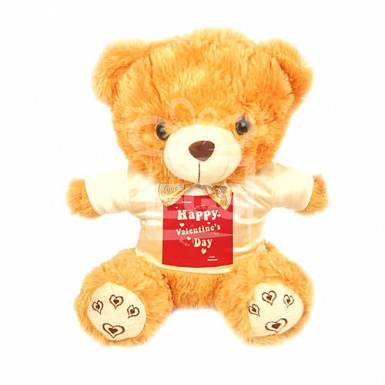 Happy Valentines Day - Personalised Bear