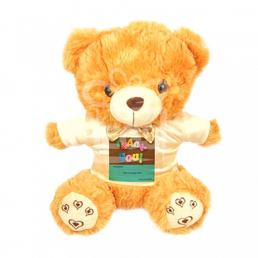 Super Thank You - Personalised Bear